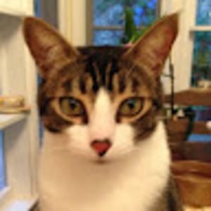 Meet your Posher, Elisa